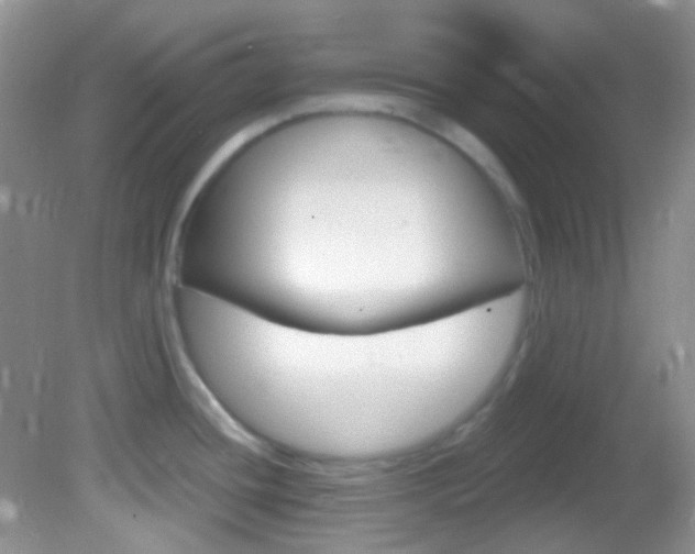 X0000082731436200701261044