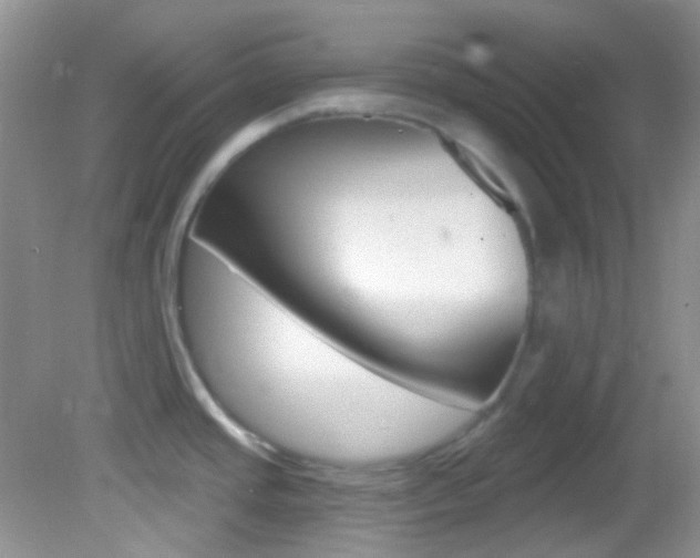X0000082731437200701261044