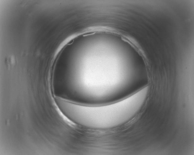 X0000082731438200701261044