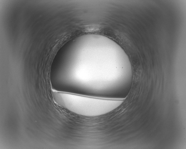 X0000082731441200701261043
