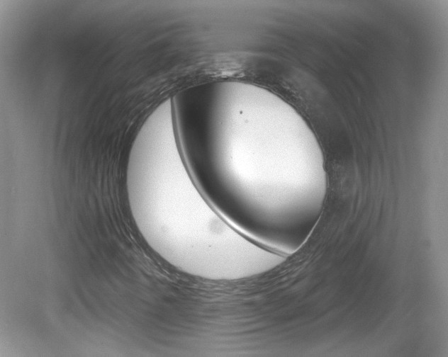 X0000082731442200701261043