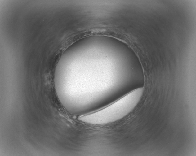X0000082731445200701261043
