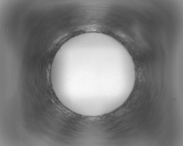 X0000082731446200701261043