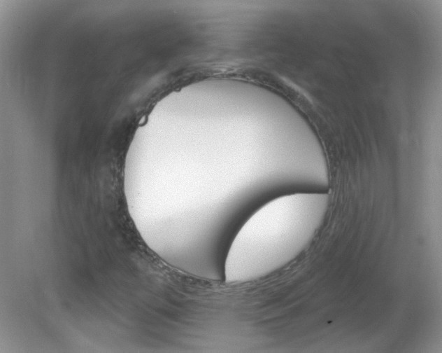 X0000082731447200701261043