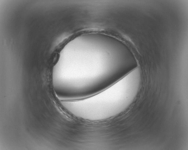X0000082731448200701261043