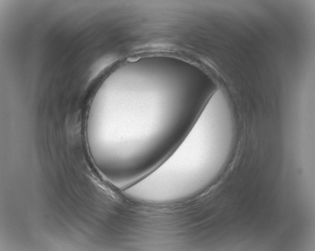 X0000082731450200701261043