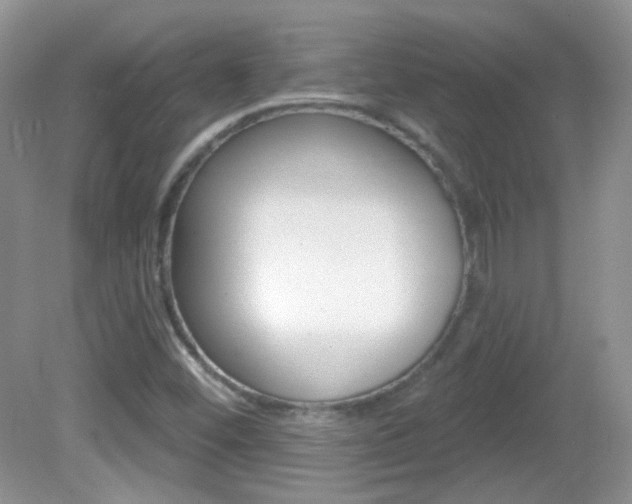 X0000082731452200701261043