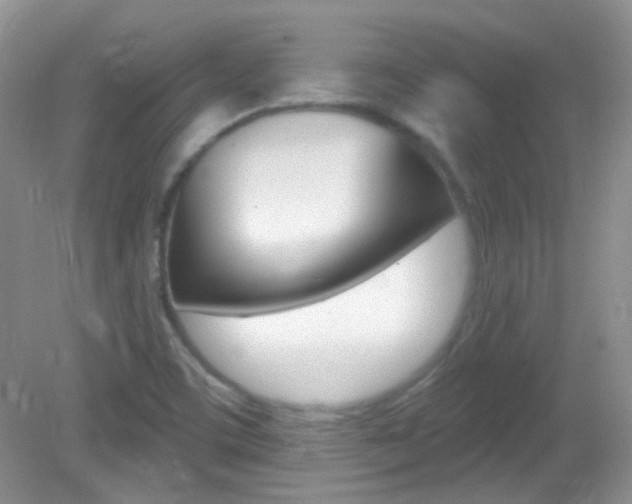 X0000082731459200701261043