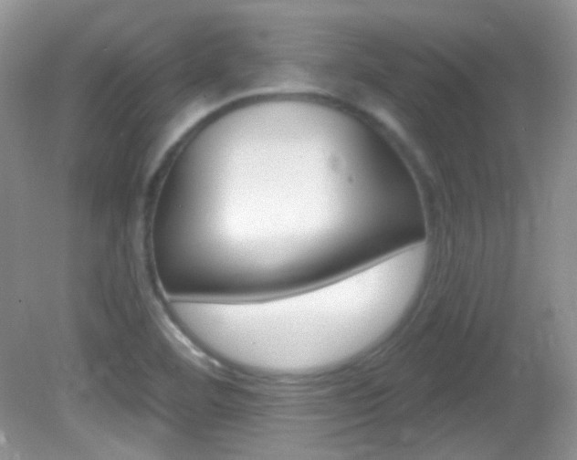 X0000082731460200701261043