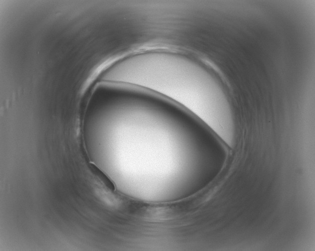 X0000082731461200701261043