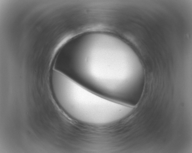 X0000082731463200701261043