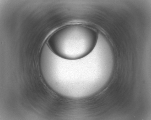 X0000082731465200701261043