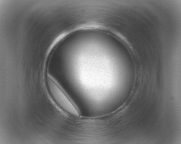 X0000082731469200701261043