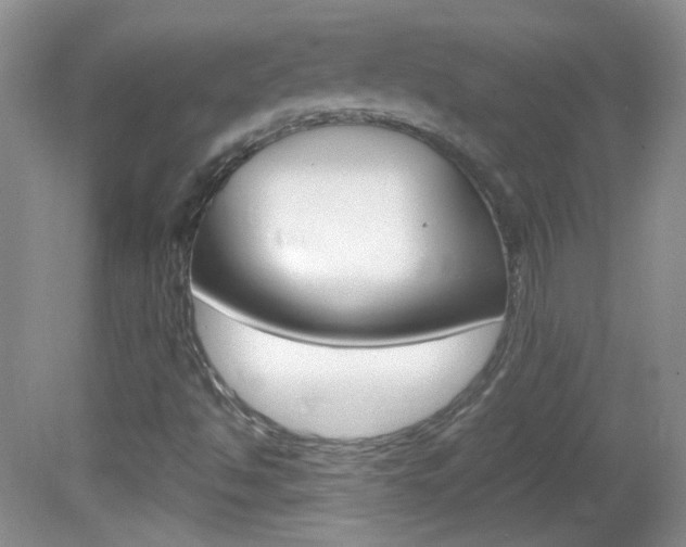 X0000082731494200701261042
