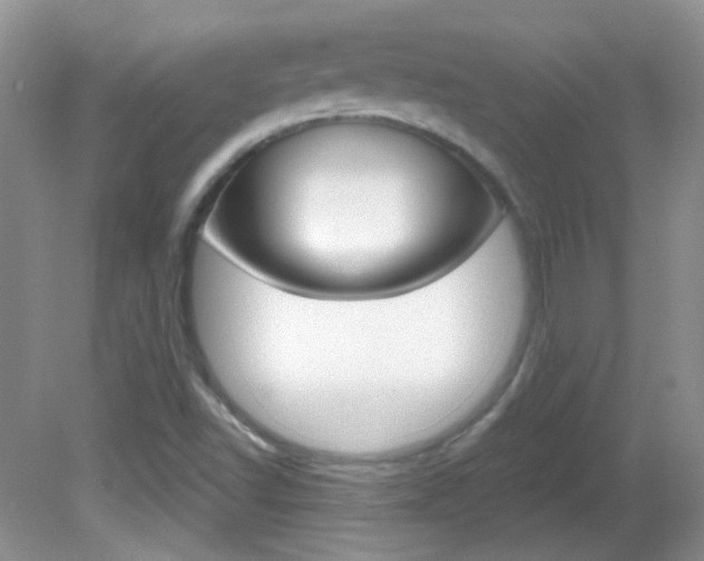 X0000082731502200701261042
