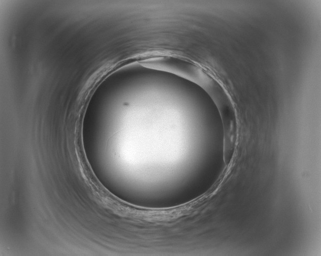 X0000082730001200701261257