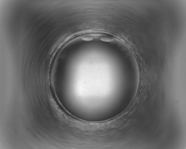 X0000082730002200701261257