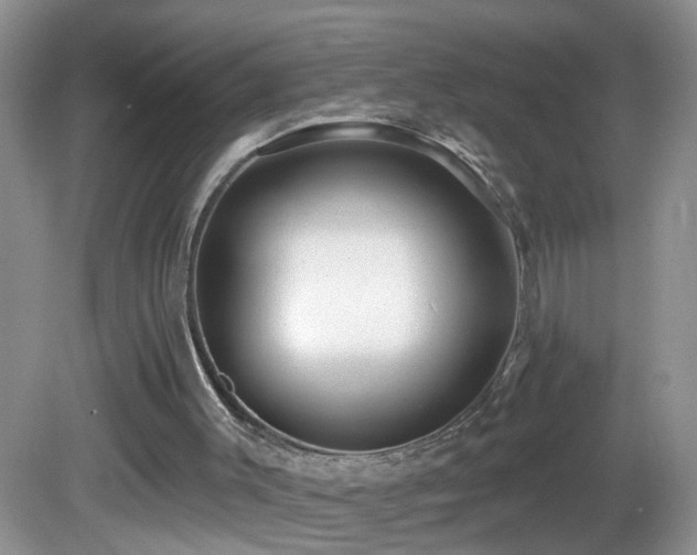 X0000082730003200701261257