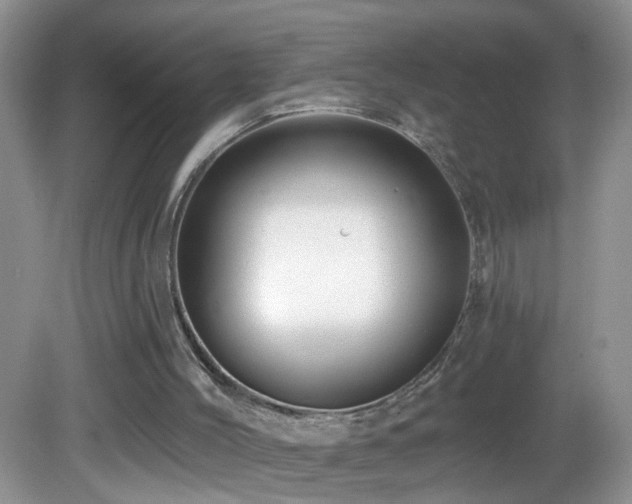 X0000082730004200701261257