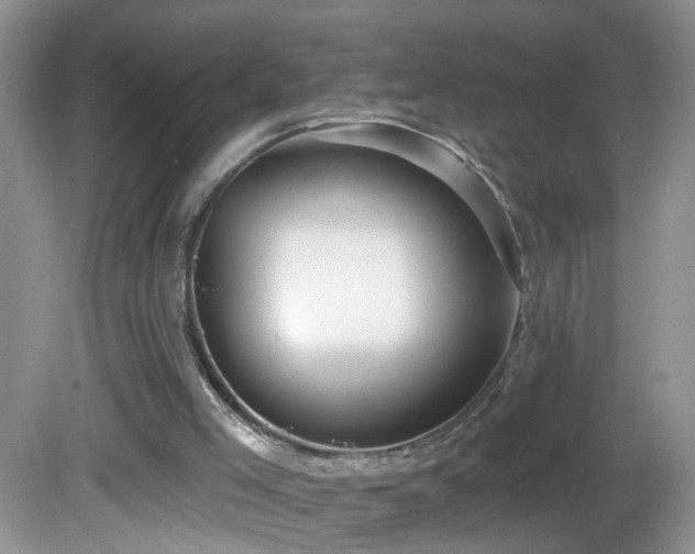X0000082730005200701261257