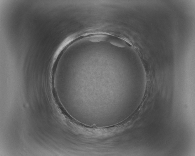 X0000082730006200701261257