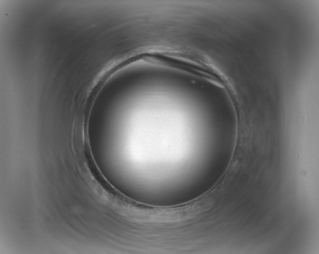 X0000082730011200701261257