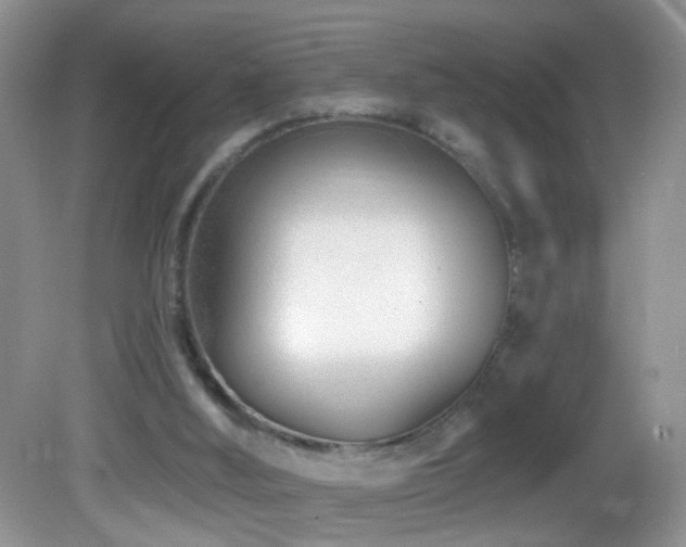X0000082730012200701261257
