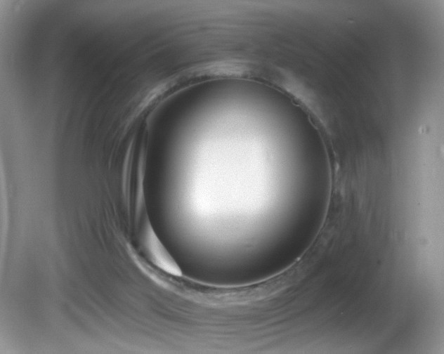 X0000082730013200701261257