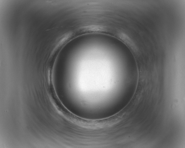 X0000082730014200701261257