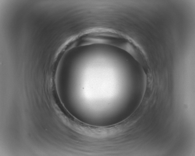 X0000082730015200701261257