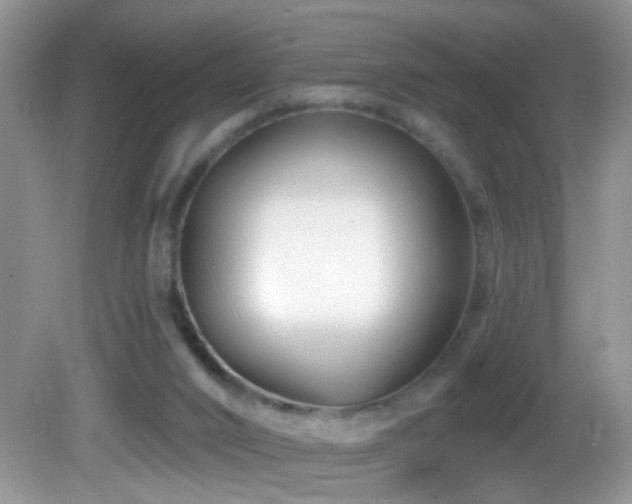 X0000082730016200701261257