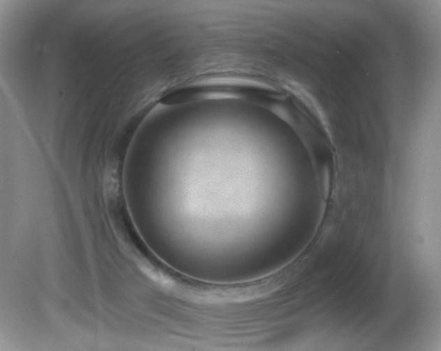 X0000082730017200701261257