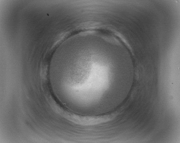 X0000082730018200701261257
