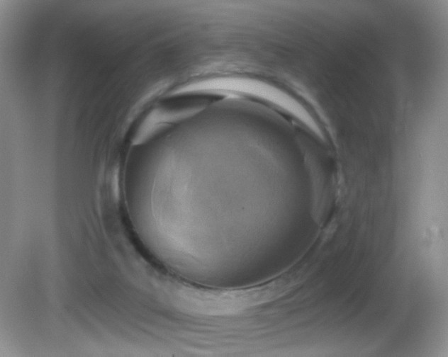 X0000082730019200701261257
