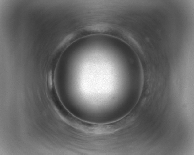 X0000082730020200701261257