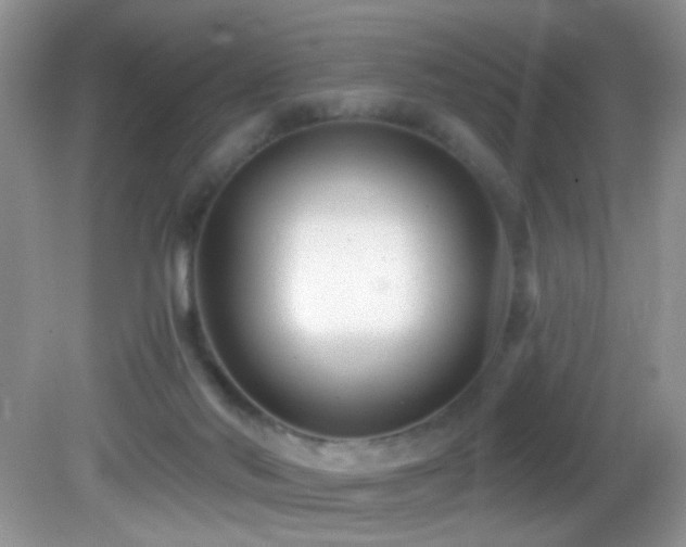 X0000082730022200701261257