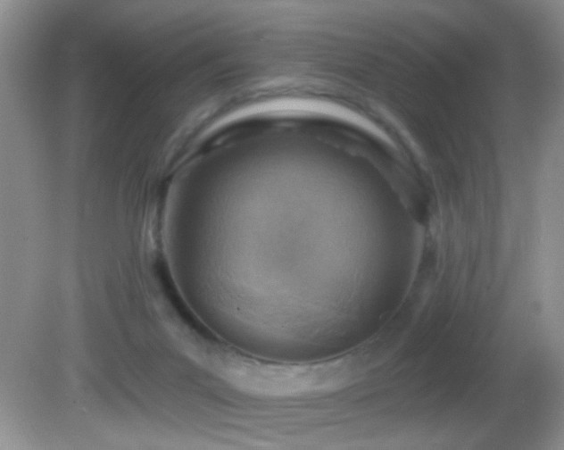 X0000082730023200701261257