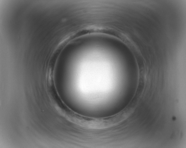 X0000082730024200701261257