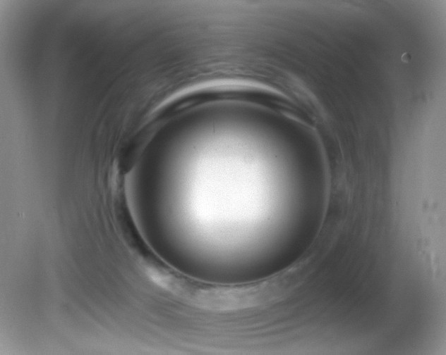 X0000082730025200701261257