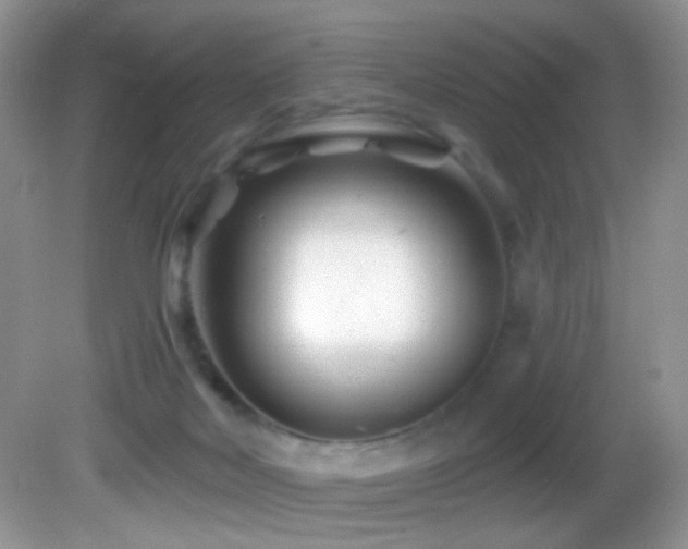 X0000082730026200701261256