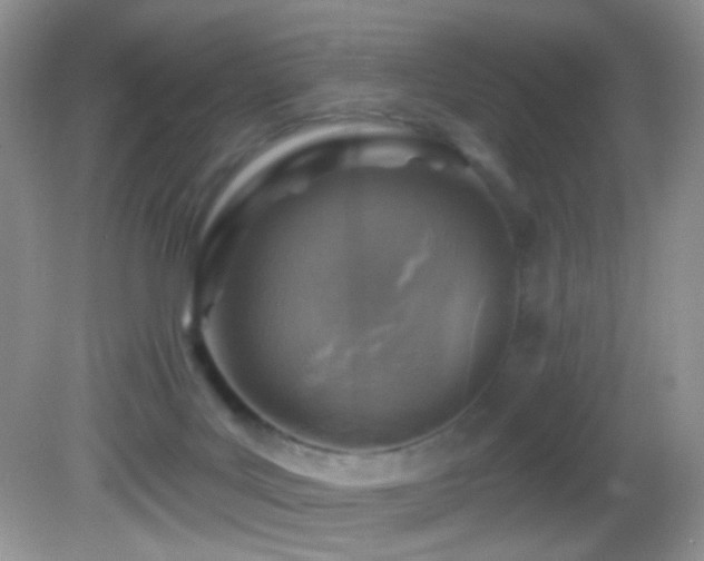 X0000082730027200701261256