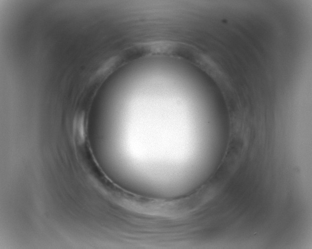X0000082730028200701261256