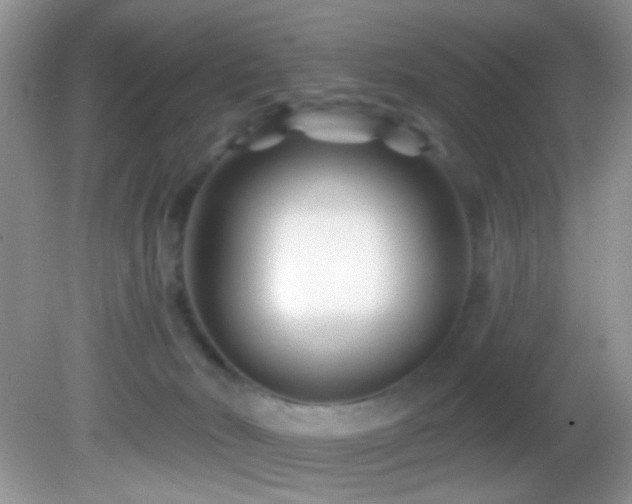X0000082730030200701261256