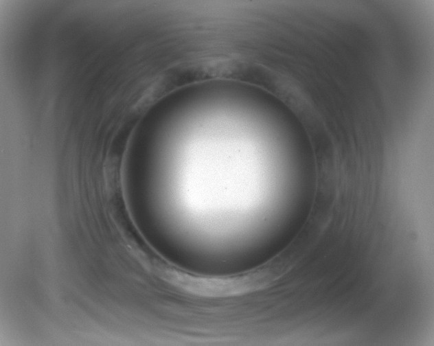 X0000082730034200701261256