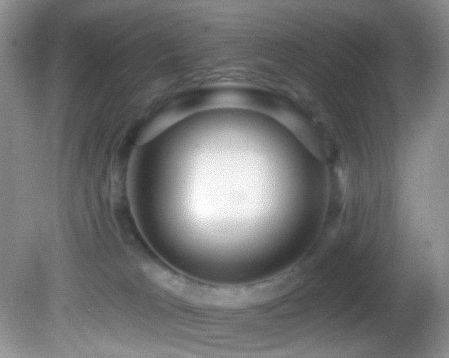 X0000082730037200701261256