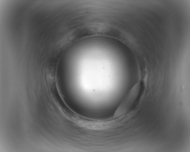 X0000082730040200701261256