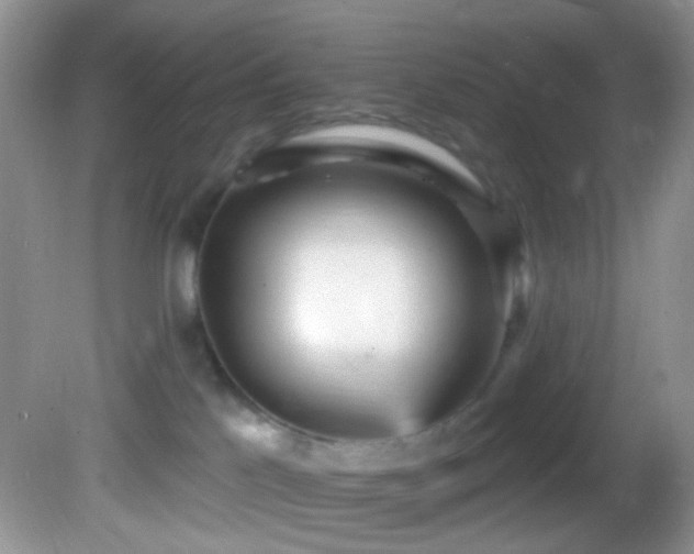 X0000082730041200701261256
