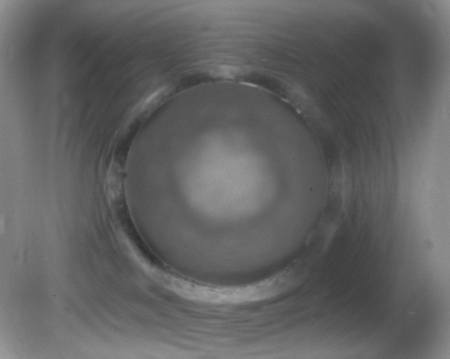 X0000082730043200701261256