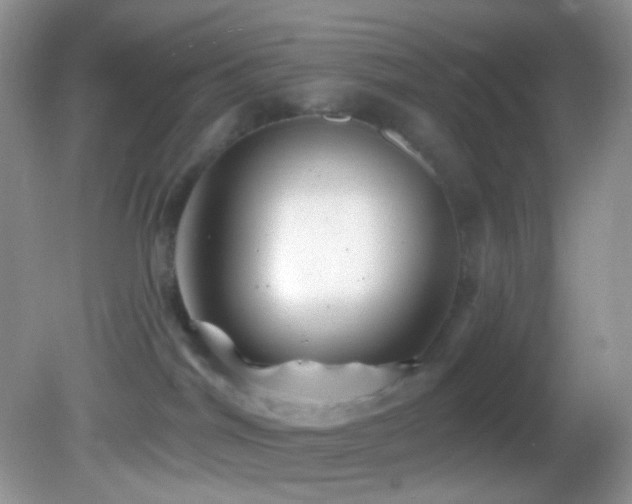 X0000082730044200701261256