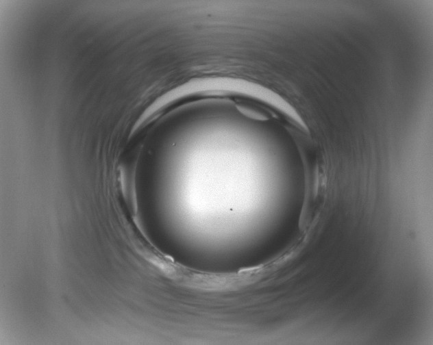 X0000082730045200701261256
